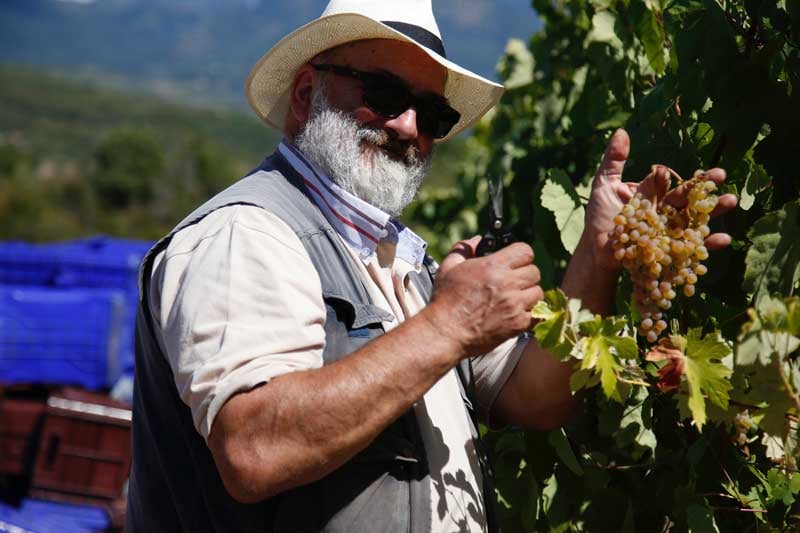 Società agricola AlbaMarina