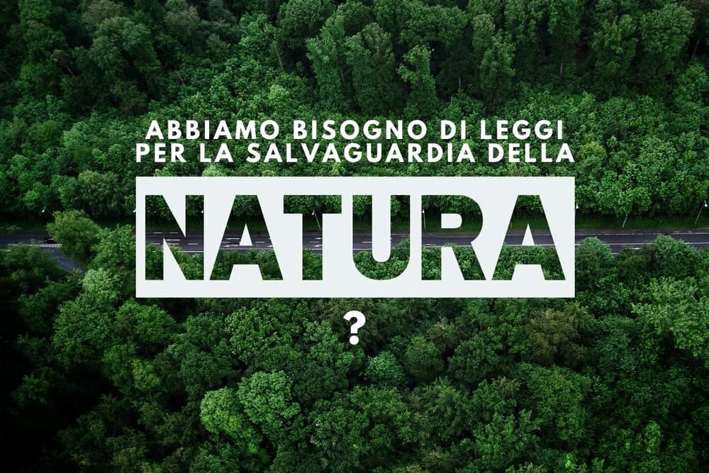 Abbiamo bisogno di leggi per la salvaguardia della natura?