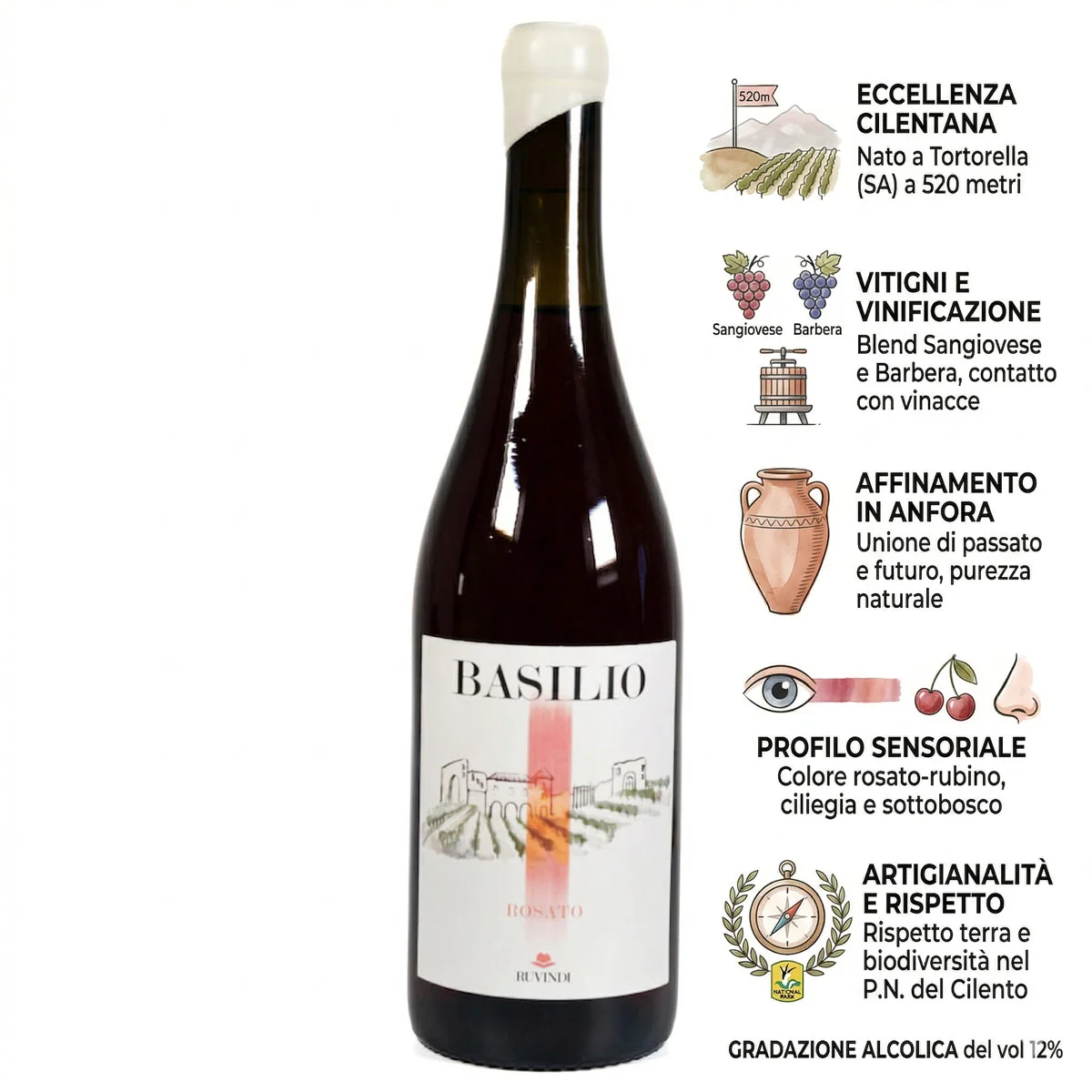 Basilio - Campania IGT Rose Wine 75cl - from Barbera and Sangiovese Grapes 2